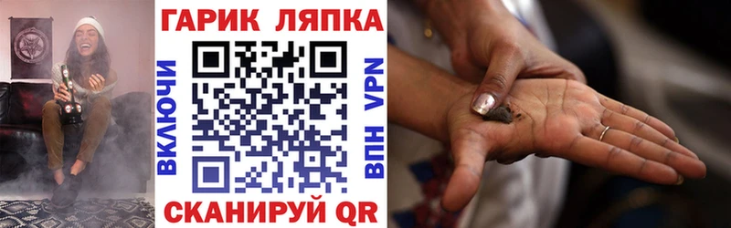 купить закладку  Долгопрудный  ГАШИШ Изолятор 
