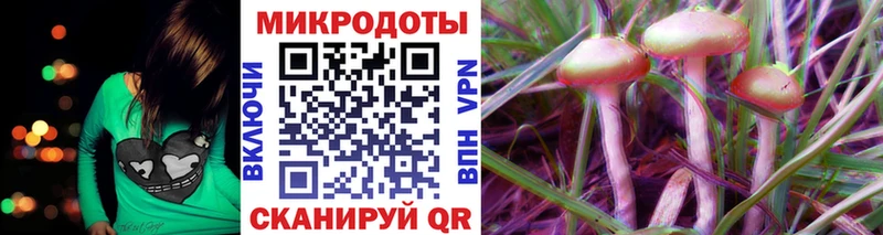 Псилоцибиновые грибы Psilocybine cubensis  Долгопрудный 