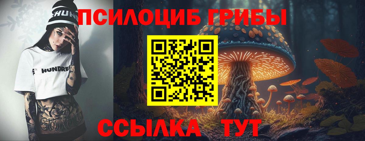 Галлюциногенные грибы GOLDEN TEACHER  Вход с VPN  Долгопрудный 
