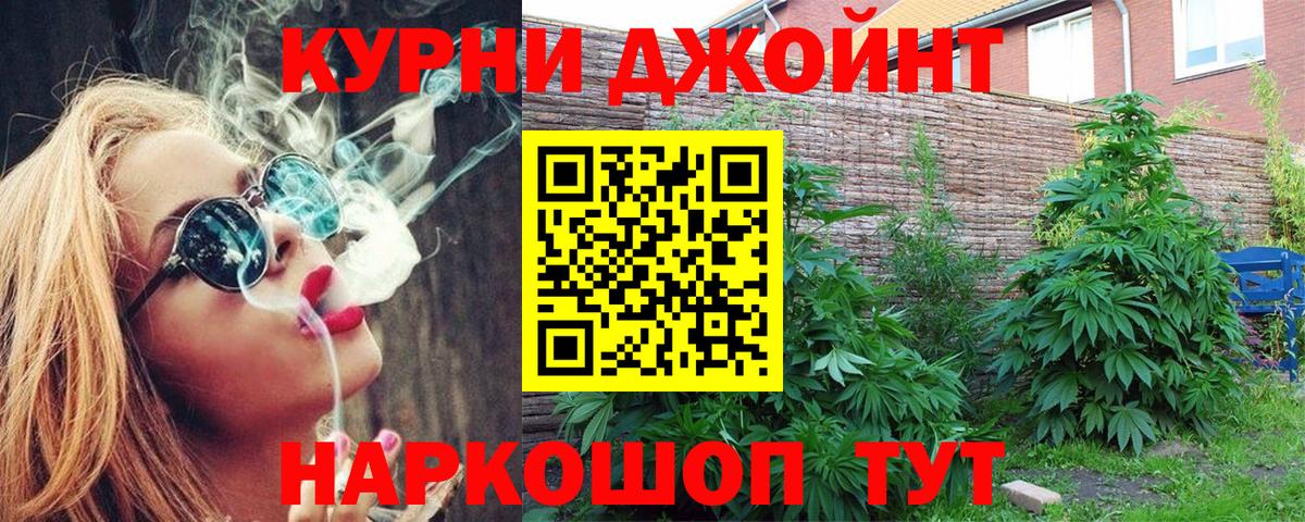 Бошки Шишки SATIVA & INDICA  Вход с VPN  Долгопрудный  Каннабис марихуана  Бошки Шишки LSD WEED  Каннабис Amnesia 