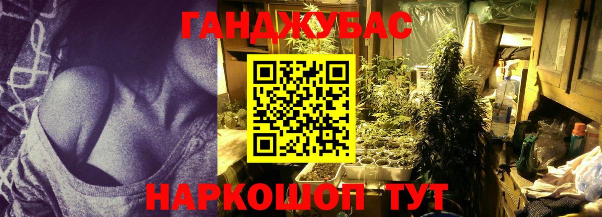 МАРИХУАНА сатива Долгопрудный